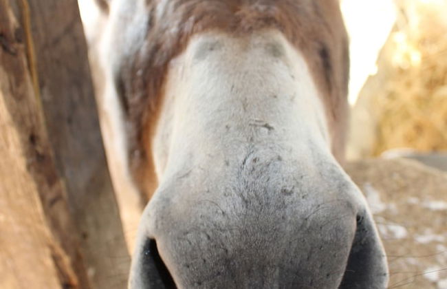 Agriturismo La Casa di Bacco - Foto 30