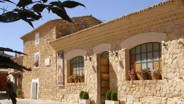 Excursión de vino de día completo y visita al lugar de nacimiento de Goya - Foto 3