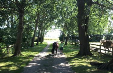 Ferienhof Utech - Foto 58