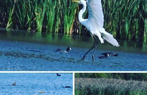 Lincoln Holiday Retreat Little House with private hot tub - Foto 51