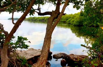 Island Paradise Awaits You - Foto 71