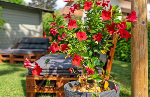 Ferienwohnung Carolin - Foto 25