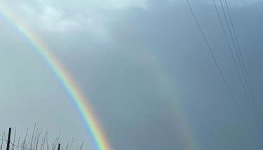 Il Giardino di Efesto - Foto 4