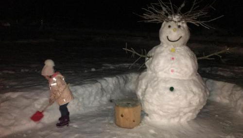 Alpine Chalet - Photo 2