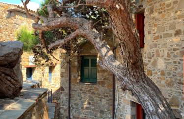 Lithos Homes - Foto 26