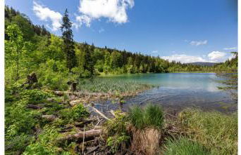 Gästehaus Aicher - Chiemgau Karte - Foto 21