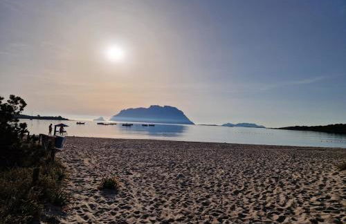 AffittaSardegna - Casa il Giardino dell'Erica - Foto 29