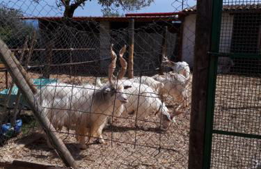 Casa Vacanza Demi - Foto 55