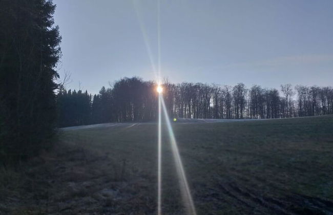 Holiday Apartment Lohr-drewes 2 - Foto 15