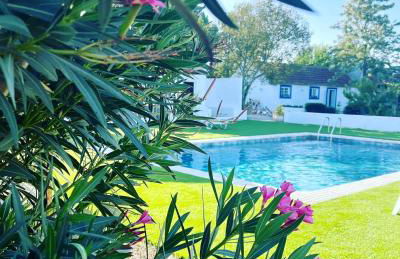 Na Quinta- alojamento rural com piscina de água salgada - Foto 17