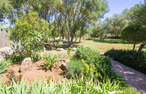 Preciosa Finca rustica con A/C y piscina exclusiva - Foto 8