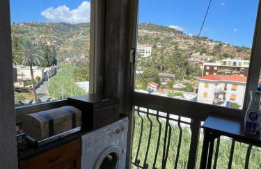 Alba bordigotta - Photo 6