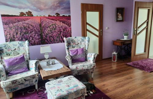 Dom wakacyjny-Czereśniowy Sad - Foto 40