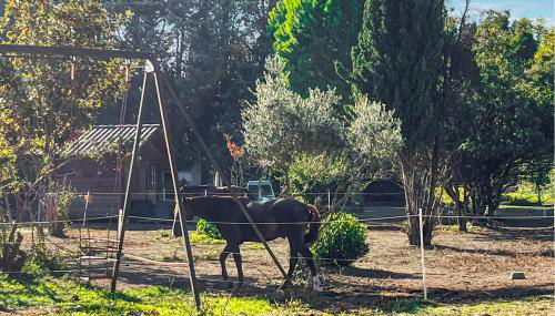 Gîte Campagne - Foto 5