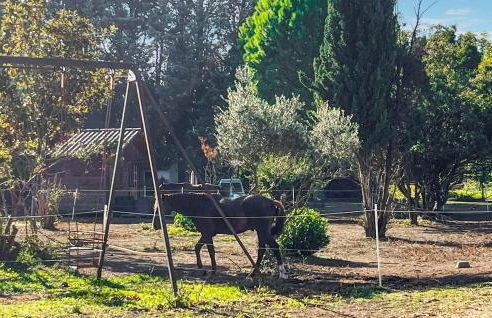 Gîte Campagne - Foto 5