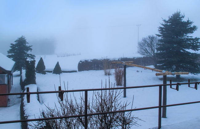 Rokytnice v Orlických horách - Foto 44