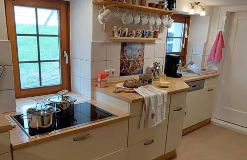 Ferienhaus am Rosengärtle - Black Forest - Forêt Noire - Foto 6