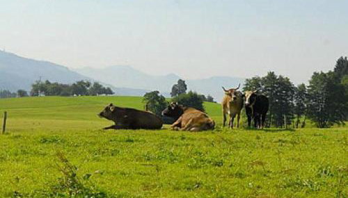 Wohnung 5 Morgensonne - Foto 3