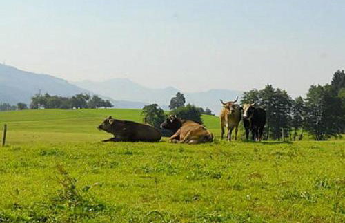 Wohnung 5 Morgensonne - Foto 3