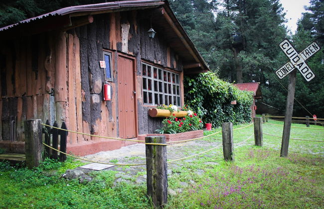 Los Vagones Cabañas Restaurante Bar - Photo 11