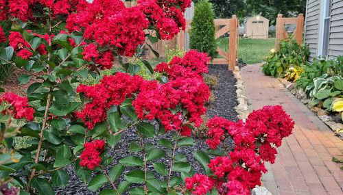 Quaint Cottage - Kansas City Area - Foto 5