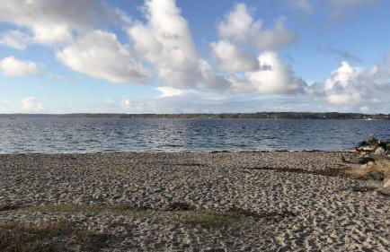 Strandblick mit Strandkorb & Fahrrädern - Foto 36