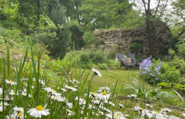 2 kleine Altstadt-Ferienwohnungen mit Garten & Herz - Foto 40