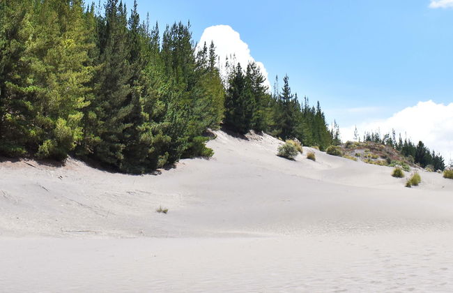 Escursione al deserto di Palmira e alle lagune di Altillo - Foto 5
