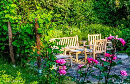 Design Ferienwohnung mit Bauerngarten - Foto 44