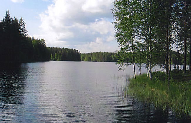 Aittolahti 1 - Foto 5