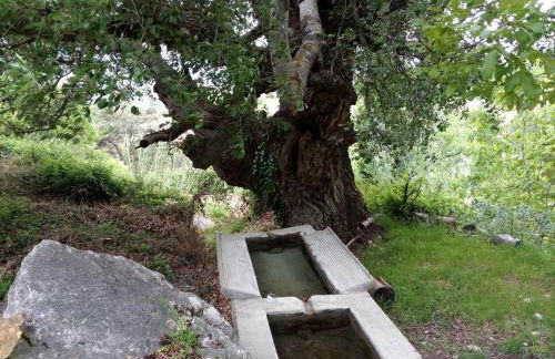 CASA RURAL "LOS CASARES" - Foto 40