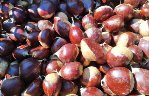 A Casa Del Tosi - Foto 59