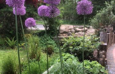 Haus am Fischendorfer Bach - Foto 11