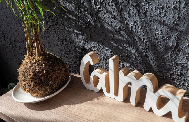 Plaza Independencia Mendoza Sol y Nieve - Foto 37