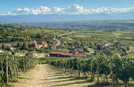 La Rosa Gialla Bio Apartments & rooms - Foto 73