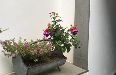 Viviendas vacacionales San Mateo - Foto 12