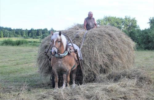 Cichosza - The Sound Of Silence - Foto 29