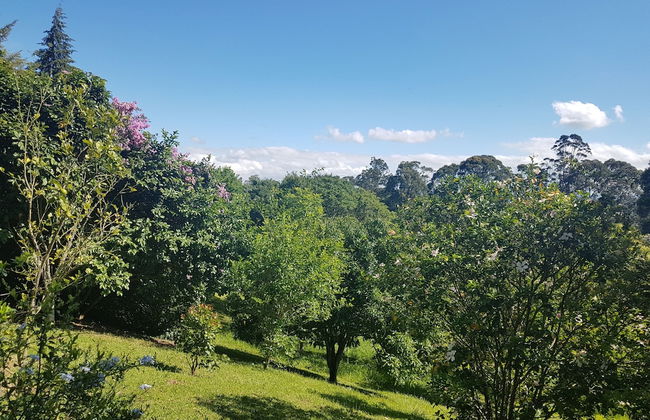 Rústico nas Alturas - Amparo - Photo 13