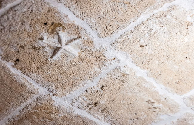 Terracielo Guest House - Foto 8