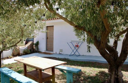 Domo Galàna - Foto 42