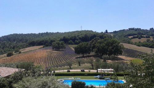 Il Poggio di Teo - Foto 5