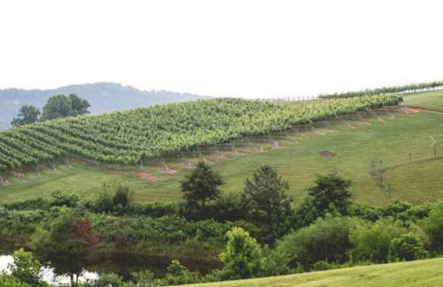 Kaya Cottages - Foto 21