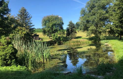 Ferienhaus Erzgebirge "An der Trebe" mit Kamin und Sauna - Photo 39