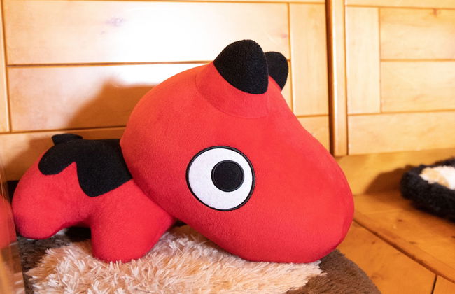 Nature Cottage Akabeko - Foto 5