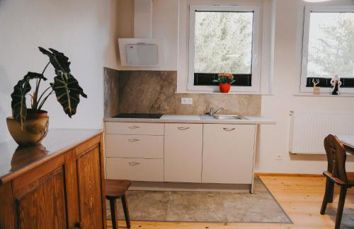 Szczytny Zakątek Apartamenty - Foto 9