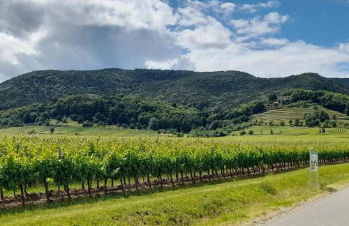 Altes Häusle am Waschbach Anno 1625 Ferienwohnungen und Doppelzimmer - Foto 50