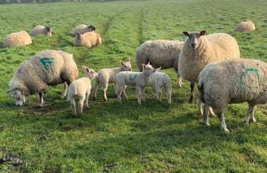 Church Farm, Legbourne Louth - Foto 42