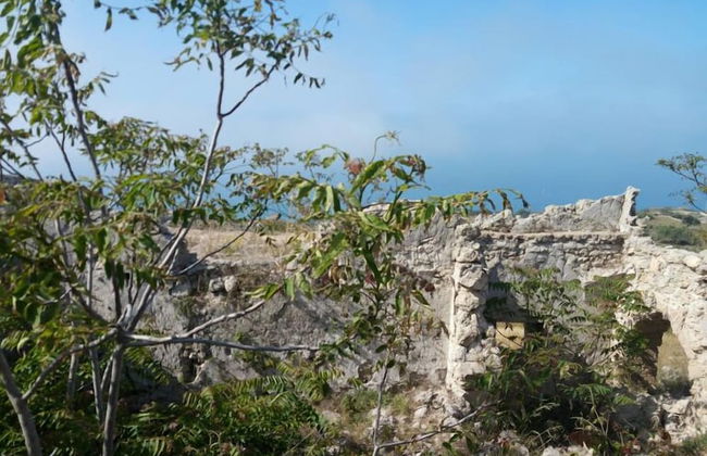 Daphnae House - Foto 44