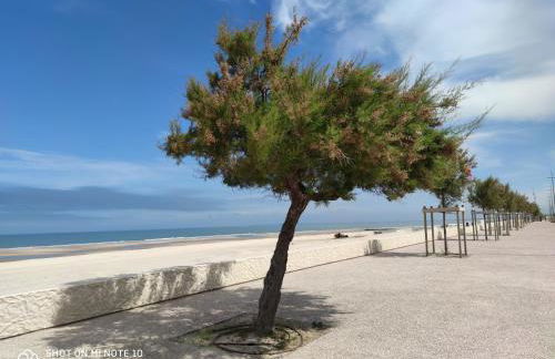 Soulac Côté Plage - Devant l'océan - Foto 16