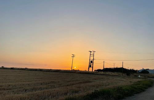 My House in Paralia Messi - Foto 40